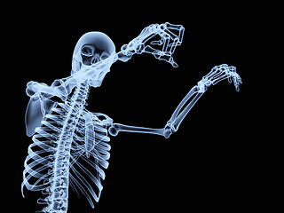 Image showing Xray Skeleton