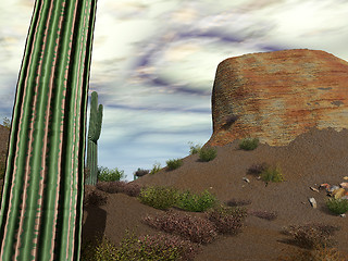 Image showing Desert Landscape