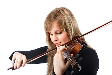 Image showing Violinist