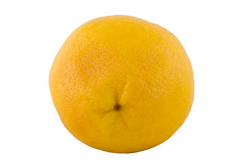 Image showing one ripe grapefruit