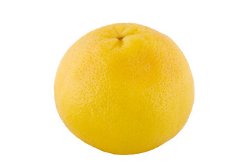 Image showing one grapefruit