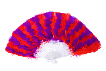 Image showing one feather fan