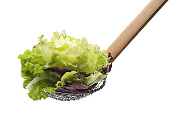 Image showing Salad