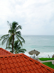 Image showing caribbean sea view over typical roof material corn island nicara