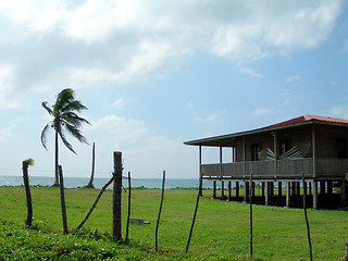 Image showing waterfront house with palm coconut tree corn island nicaragua