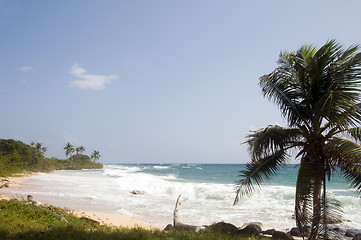 Image showing content point beach caribbean sea corn island nicaragua