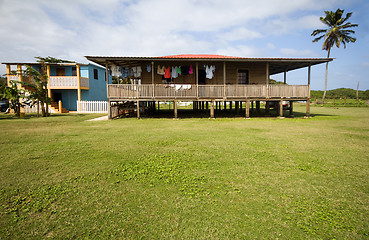 Image showing island home with coconut tree corn island nicaragua