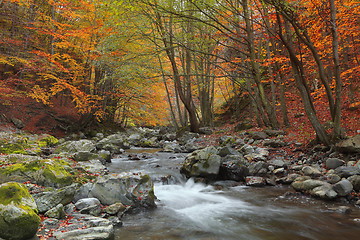 Image showing Autumn river