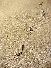 Image showing Sand Footprints