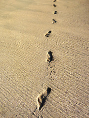 Image showing Sand Footprints