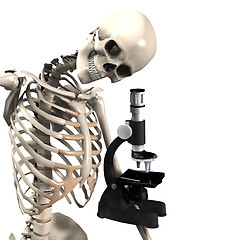 Image showing Skeleton Doing Research