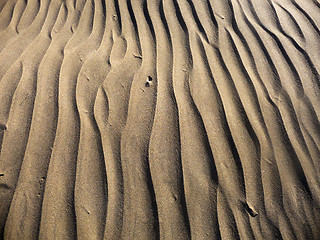 Image showing Maspalomas Dunes 