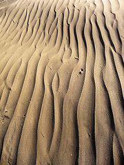 Image showing Maspalomas Dunes 