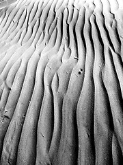 Image showing Maspalomas Dunes 