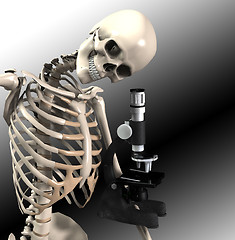 Image showing Skeleton Doing Research