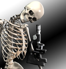 Image showing Skeleton Doing Research