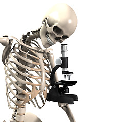 Image showing Skeleton Doing Research