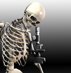 Image showing Skeleton Doing Research