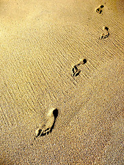 Image showing Sand Footprints