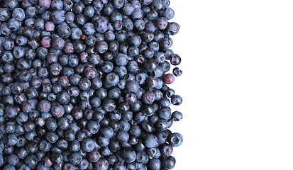 Image showing blueberries