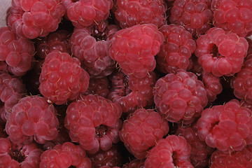 Image showing raspberry