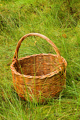 Image showing woven basket in the grass