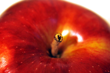 Image showing Apple Close Up On Top