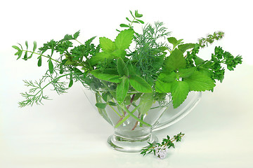 Image showing Green herbs