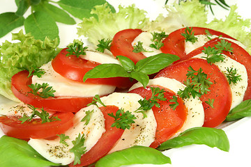 Image showing Caprese salad