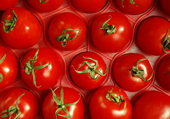 Image showing Tomatoes In The Crate