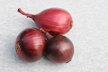 Image showing Three Red Onion Bulbs