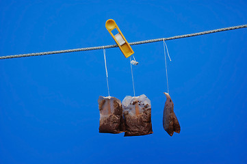 Image showing Used Tea Bags In The Sun