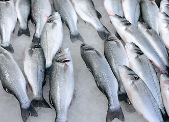 Image showing Fresh Fish On Ice