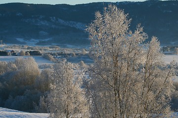 Image showing Winter landscape