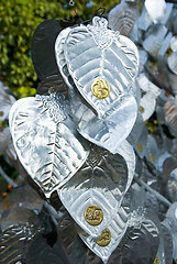 Image showing Detail of tree with silver leaves