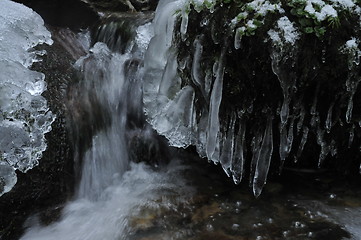 Image showing stream in winter