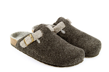 Image showing Felt slipper