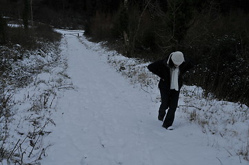 Image showing walking in snow