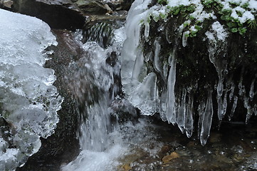 Image showing stream