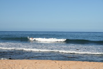 Image showing Surfing in Hawaii