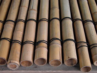 Image showing Bamboo Girders