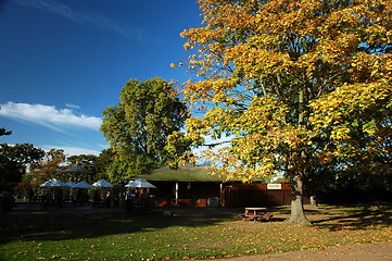 Image showing London park