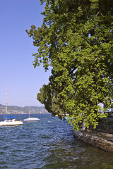 Image showing Zurich Lake