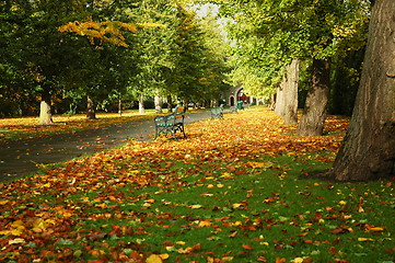 Image showing cardiff park