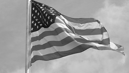 Image showing USA flag