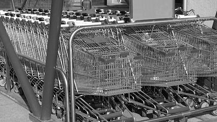 Image showing Shopping carts