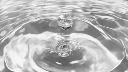 Image showing Water drop droplet