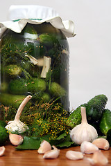 Image showing Pickle ingredients