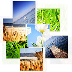 Image showing Nature collage.