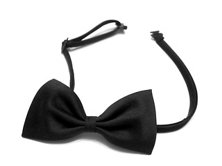 Image showing Bow Tie